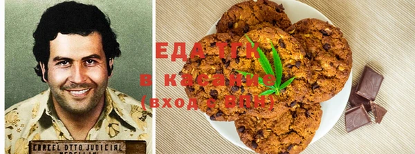 индика Абинск