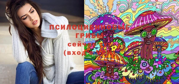 героин Алексин