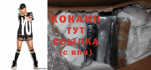 индика Абинск