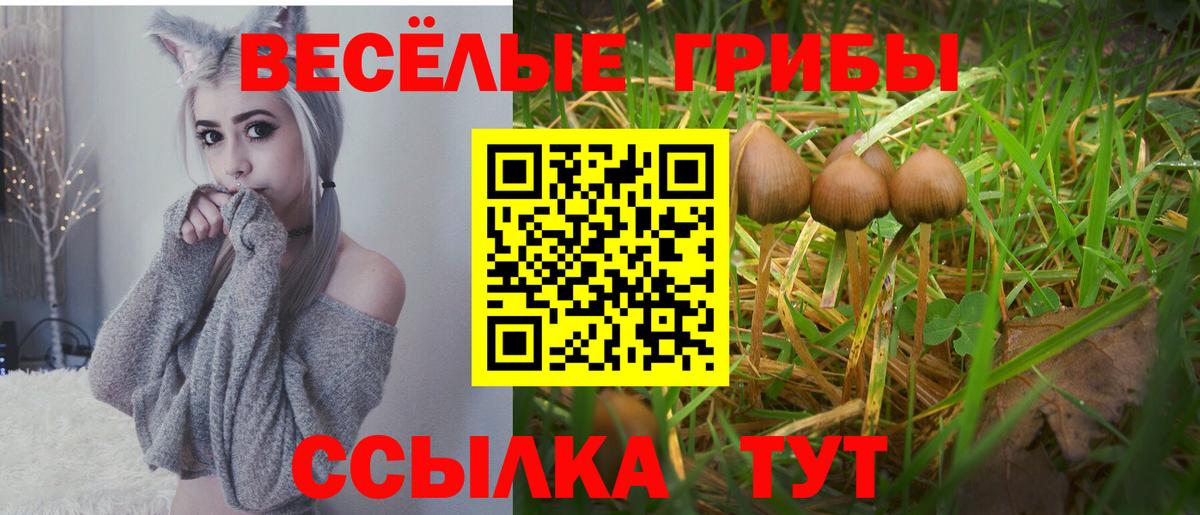 Сургут  Галлюциногенные грибы Psilocybine cubensis  Вход с VPN 
